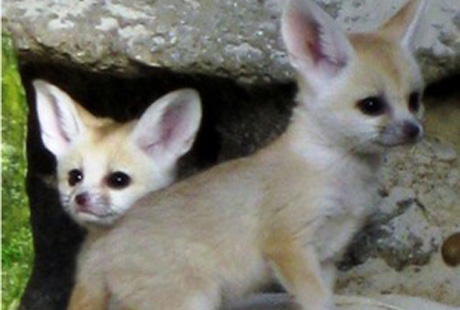 ���� �������� � ����� �����-���