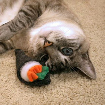 ���������� ���������