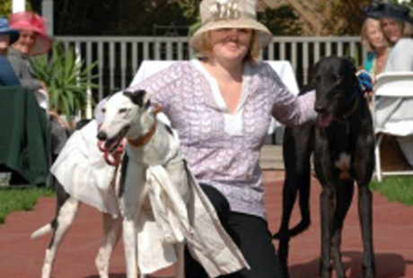 ����� ���������!