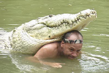 �������� ����