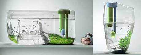 iPod ��� ���