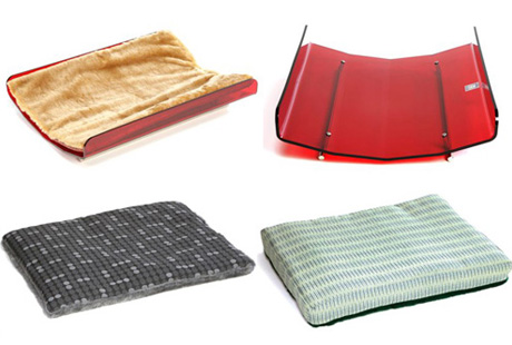 ��������� ����