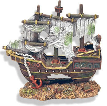 ���������� ����� � ����� ��������