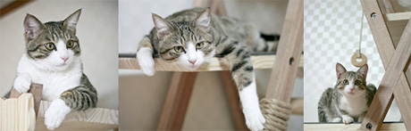 �������� ����� ��-��������