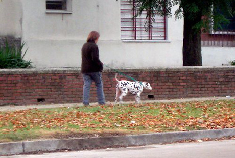 ������� ������ ������!