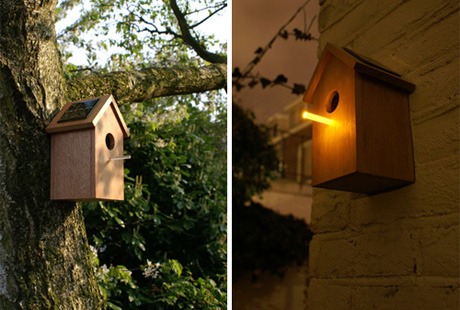 ���������� 21 ����