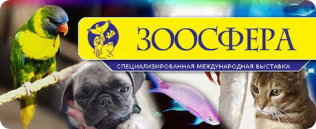 ��� ��������� ��� �������?