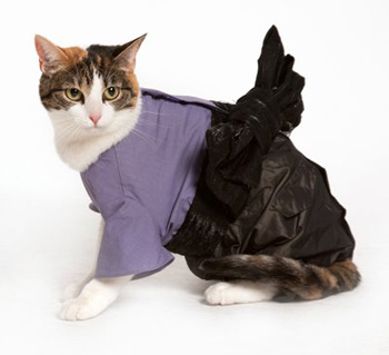 ����� �������� �����?