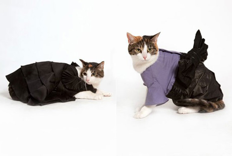 ����� �������� �����?