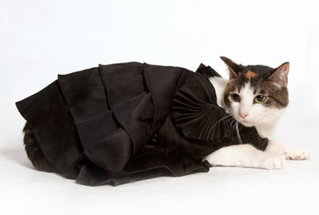 ����� �������� �����?