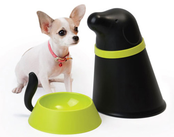 �� ���� � ���� ��������� ���