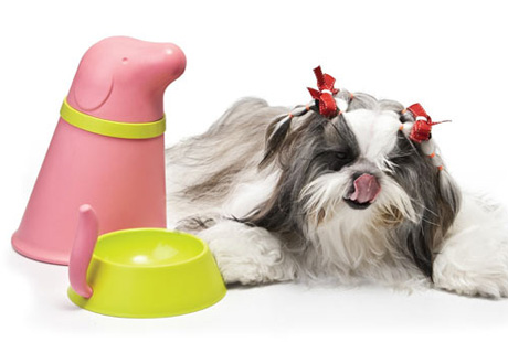 �� ���� � ���� ��������� ���