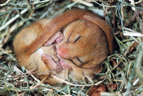 ��������� ��������� ��� ��� ����� ����