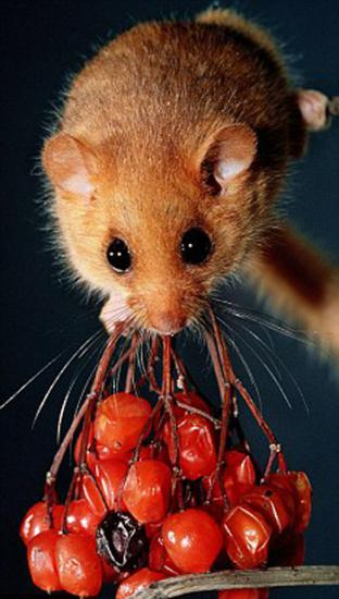 ��������� ��������� ��� ��� ����� ����