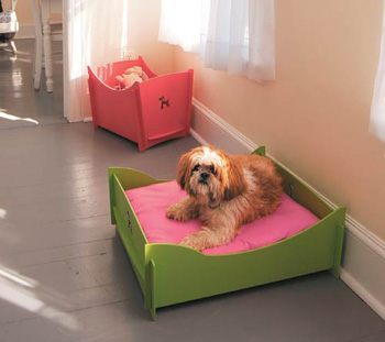 ������ �����