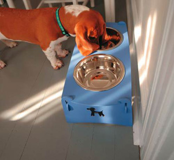 ������ �����