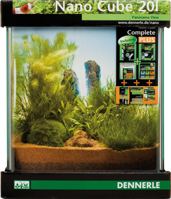 ���� �������� ��� ��������, ������ � ������