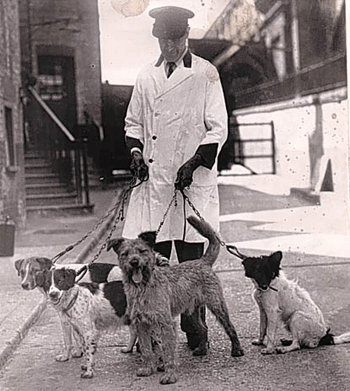 ������ ��� �������� ����������� 150 ���