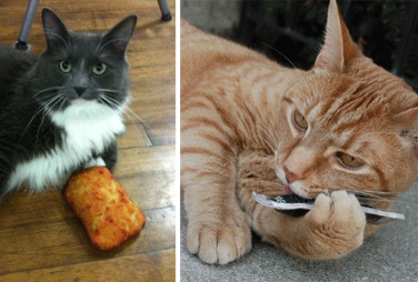 ������������ ������� ��� �����