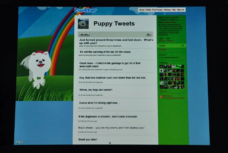 Twitter для питомца Twitter для питомца