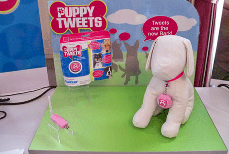 Twitter для питомца Twitter для питомца