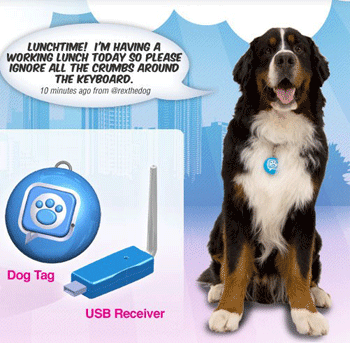 Twitter для питомца Twitter для питомца