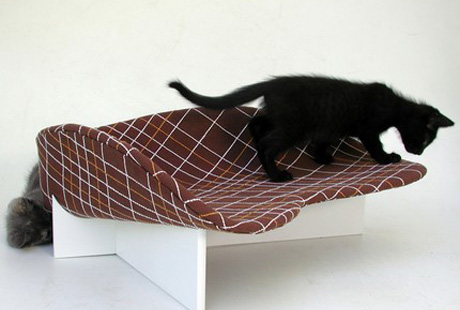 ����������� �����-�������