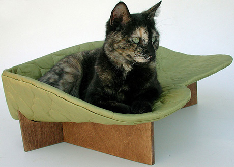 ����������� �����-�������