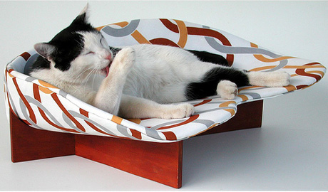 ����������� �����-�������