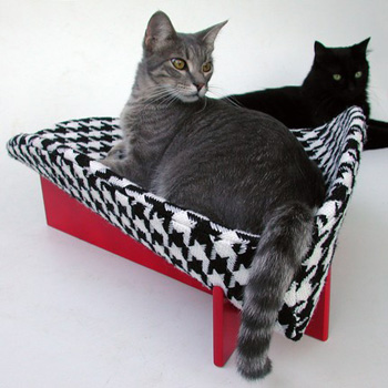 ����������� �����-�������