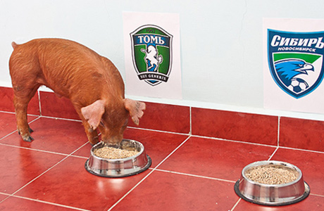 �������� ���������-2014 ����� ����� ���������