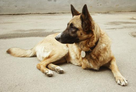 "���� �����!" - ��������� �������� ������� �����