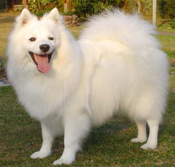 ���� ������ ���� � ������� � ��������