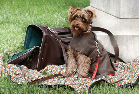 ������ � ���������