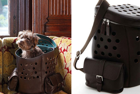 ������ � ���������