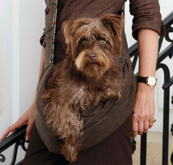 ������ � ���������