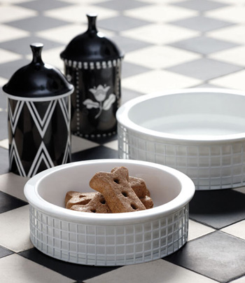 ������ � ���������