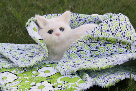 ��� ����� ����� ��� �������� ���?