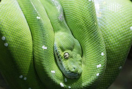 �������� ������ ������ �� ��������� �����