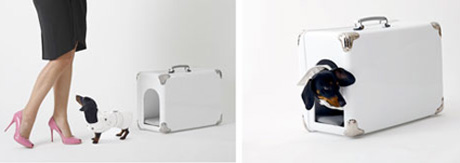 ���������� �� ����� ��������