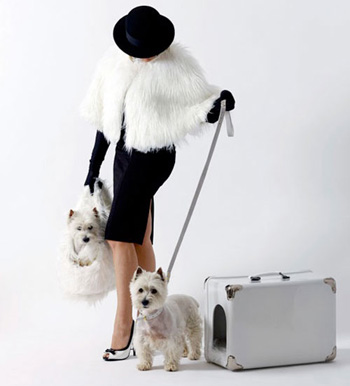 ���������� �� ����� ��������