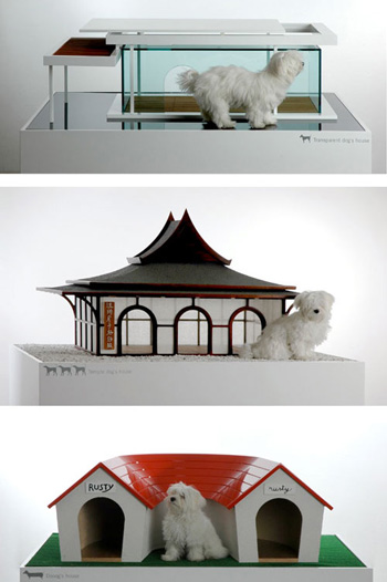 ���������� �� ����� ��������