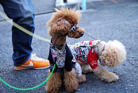 ������� ������ �� ���� ������