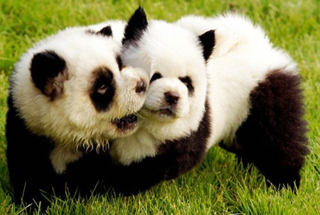 ������� ������ �� ���� ������