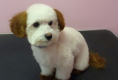 ������� ������ �� ���� ������