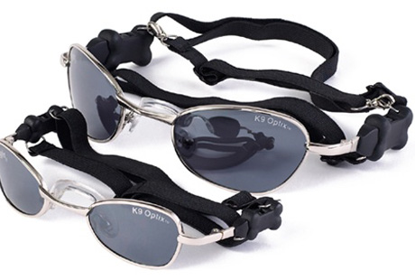 ������� ������ �� ���� ������