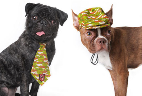 ������� ������ �� ���� ������