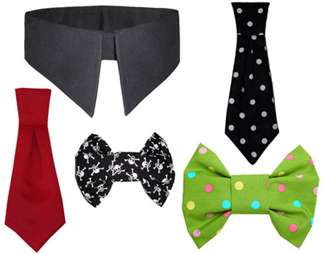 ������� ������ �� ���� ������