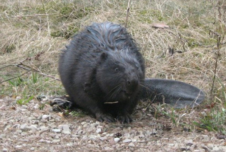 ������ ����� ��������� � �������