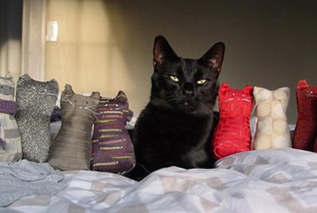 ����� �������� ��������